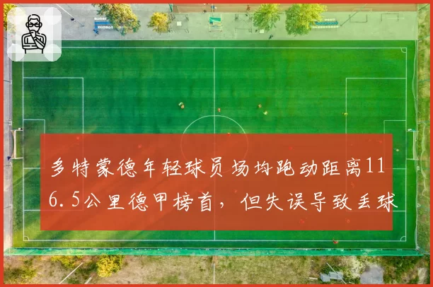 多特蒙德年轻球员场均跑动距离116.5公里德甲榜首，但失误导致丢球12个