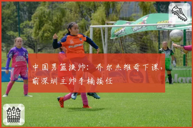 中国男篮换帅:乔尔杰维奇下课,前深圳主帅李楠接任